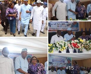 LAGOS ASSEMBLY SCORES CHAIRMAN ROSIJI HIGH, CROWNS HER “MRS. PROJECT” AFTER INSPECTING 22 LANDMARK PROJECTS