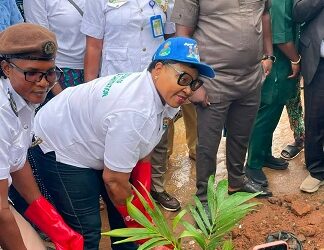 OJOKORO LCDA JOINS LAGOS IN Y2026 TREE PLANTING EXERCISE, CHARGES RESIDENTS ON ENVIRONMENTAL SUSTAINABILITY